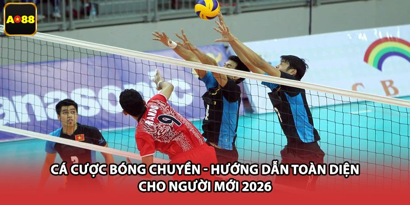 Cá Cược Bóng Chuyền - Hướng Dẫn Toàn Diện Cho Người Mới 2026