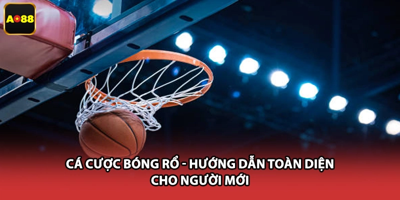 Cá Cược Bóng Rổ - Hướng Dẫn Toàn Diện Cho Người Mới