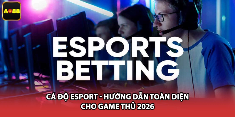 Cá Độ Esport - Hướng Dẫn Toàn Diện Cho Game Thủ 2026