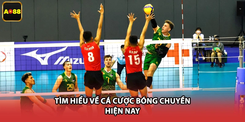 Các loại kèo bóng chuyền người chơi nên biết
