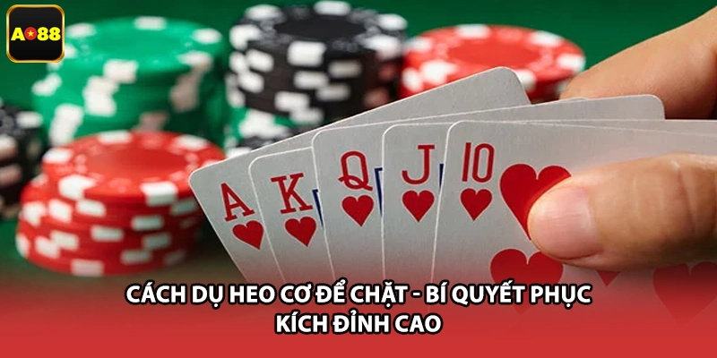 Cách Dụ Heo Cơ Để Chặt - Bí Quyết Phục Kích Đỉnh Cao