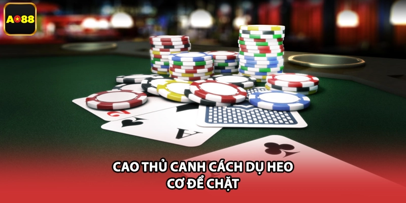 Cao thủ canh cách dụ heo cơ để chặt