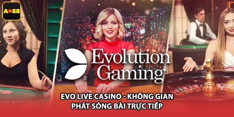 EVO Live Casino - Không Gian Phát Sóng Bài Trực Tiếp