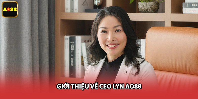 Giới thiệu về CEO LYN AO88