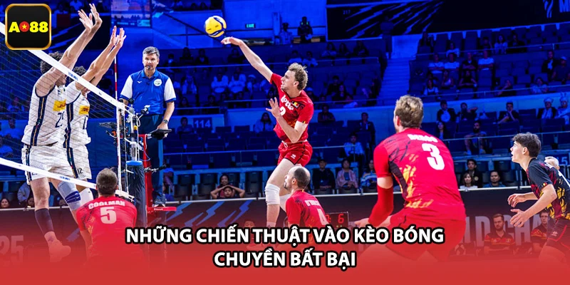 Những chiến thuật vào kèo bóng chuyền bất bại