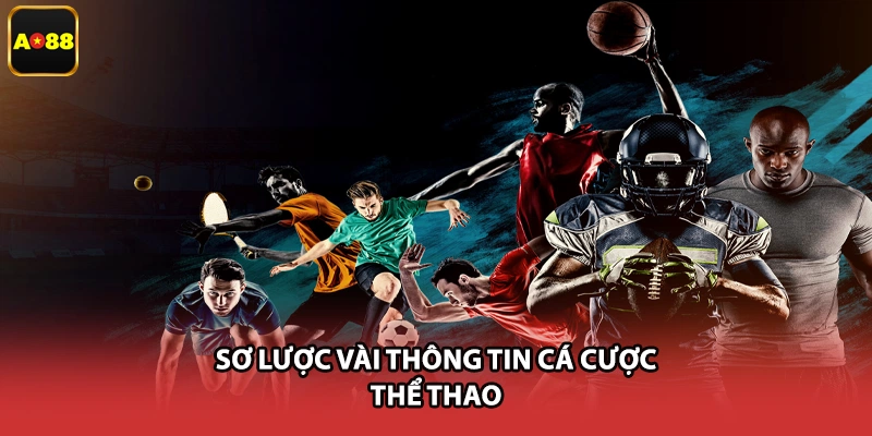 Sơ lược vài thông tin cá cược thể thao