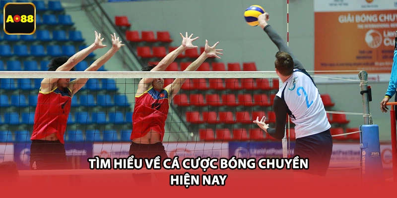 Tìm hiểu về cá cược bóng chuyền hiện nay