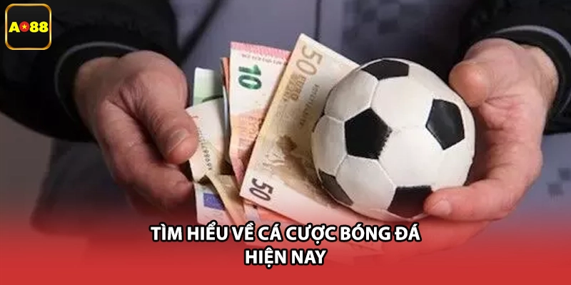Tìm hiểu về cá cược bóng đá hiện nay