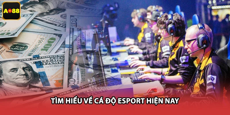 Tìm hiểu về cá độ Esport hiện nay