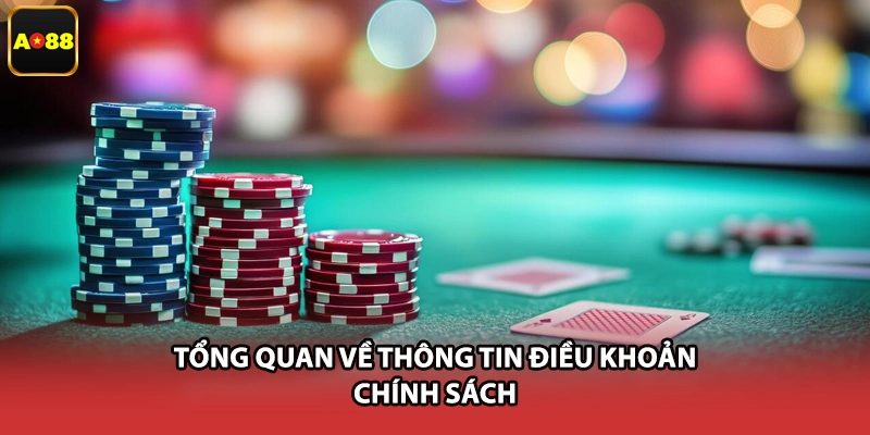 Tổng quan về thông tin điều khoản chính sách