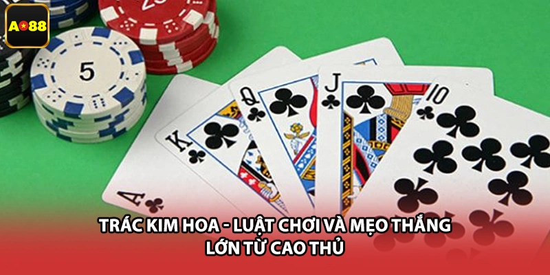 Trác Kim Hoa - Luật Chơi Và Mẹo Thắng Lớn Từ Cao Thủ
